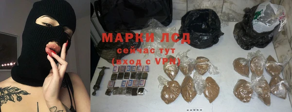 ГАЛЛЮЦИНОГЕННЫЕ ГРИБЫ Белокуриха