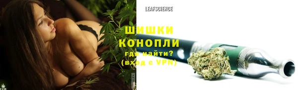 ПСИЛОЦИБИНОВЫЕ ГРИБЫ Беломорск